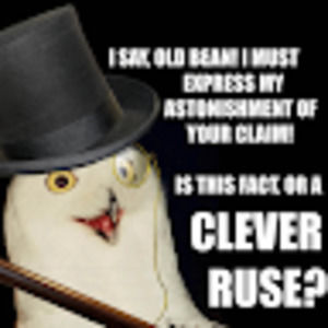 Meet your Posher, Chris chinky